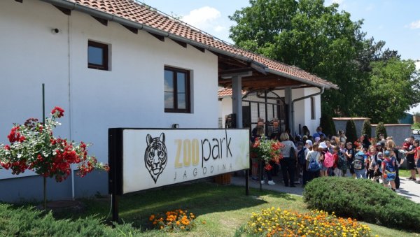 БЕСПЛАТАН УЛАЗ У ЈАГОДИНСKИ ЗОО ВРТ: За све ђаке прваке у Србији и њихове родитеље