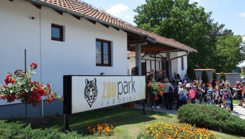 BESPLATAN ULAZ U JAGODINSKI ZOO VRT: Za sve đake prvake u Srbiji i njihove roditelje BESPLATAN ULAZ U JAGODINSKI ZOO VRT: Za sve đake prvake u Srbiji i njihove roditelje