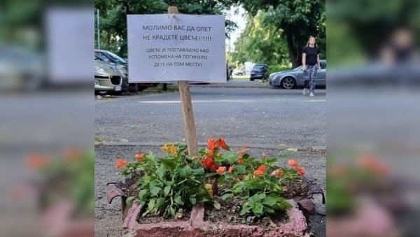 БОЛИ ВИШЕ ОД КРАЂЕ ЦВЕЋА: Порука у жардињери на Новом Београд - То је успомена на погинуло дете (ФОТО) БОЛИ ВИШЕ ОД КРАЂЕ ЦВЕЋА: Порука у жардињери на Новом Београд - То је успомена на погинуло дете (ФОТО)
