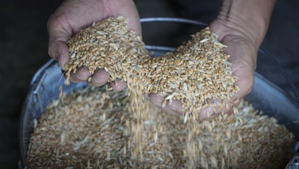 РУСИЈА ДАЛА САГЛАСНОСТ: Прехрамбени споразум продужен за 60 дана РУСИЈА ДАЛА САГЛАСНОСТ: Прехрамбени споразум продужен за 60 дана