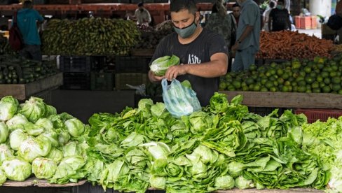 PROŠLE NEDELJE NA VELETRŽNICI: Tražene jabuke, šargarepa i salata PROŠLE NEDELJE NA VELETRŽNICI: Tražene jabuke, šargarepa i salata