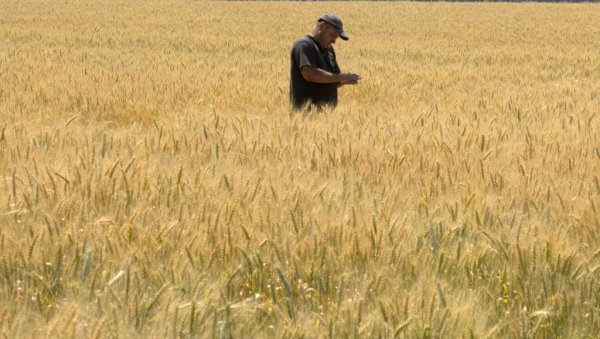 ТУРСКА: Важно је спровести црноморске иницијативе за жито