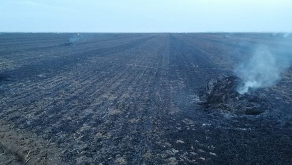 ШТЕТА ПЕТ МИЛИОНА ДИНАРА: У атару Кикинде изгорела 24 хектара пшенице ШТЕТА ПЕТ МИЛИОНА ДИНАРА: У атару Кикинде изгорела 24 хектара пшенице