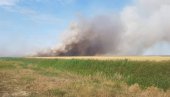 ОПЕТ ГОРЕЛО ЖИТО: Пожар на њиви код Зрењанина, ватра прогутала 50 ари неовршене пшенице ОПЕТ ГОРЕЛО ЖИТО: Пожар на њиви код Зрењанина, ватра прогутала 50 ари неовршене пшенице