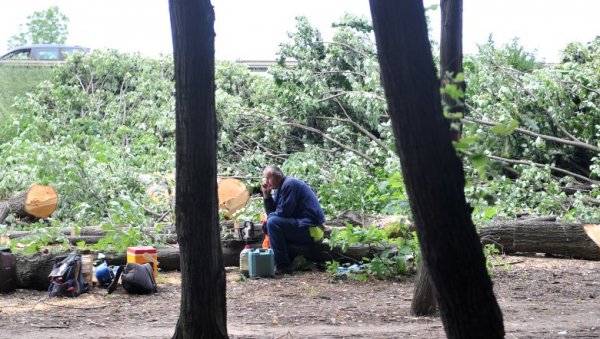 СЕЧА ДРВЕЋА - 25.000 ДИНАРА: Ове године, као и 2021. уручен само један прекршајни налог због ломљење стабала СЕЧА ДРВЕЋА - 25.000 ДИНАРА: Ове године, као и 2021. уручен само један прекршајни налог због ломљење стабала