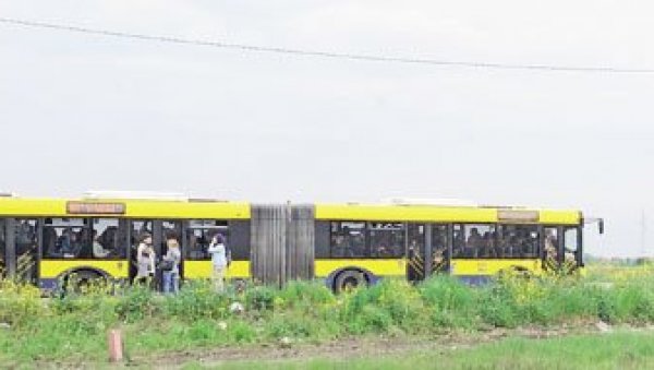 ТУКЛИ БРАЋУ ЗБОГ ЗВЕЗДИНЕ МАЈИЦЕ: Одређен притвор Н. С. И С. М. који су изазвали инцидент на стајалишту у Борчи ТУКЛИ БРАЋУ ЗБОГ ЗВЕЗДИНЕ МАЈИЦЕ: Одређен притвор Н. С. И С. М. који су изазвали инцидент на стајалишту у Борчи