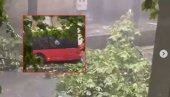 ДРВО ПАЛО НА АУТОБУС: Невреме оковало Београд - у Земуну заустављен саобраћај (ФОТО) ДРВО ПАЛО НА АУТОБУС: Невреме оковало Београд - у Земуну заустављен саобраћај (ФОТО)