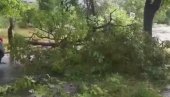 IŠČUPANO DRVEĆE, OTPALA FASADA: Posledice nevremena u Beogradu (VIDEO) IŠČUPANO DRVEĆE, OTPALA FASADA: Posledice nevremena u Beogradu (VIDEO)