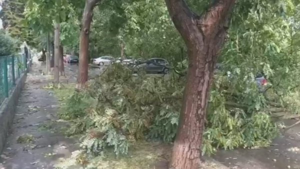 ЗАСТОЈ У ЗЕМУНУ И МОСТУ НА АДИ: Проблем на контактној мрежи због обилних падавина привремено зауставио трамваје 11 и 13 ЗАСТОЈ У ЗЕМУНУ И МОСТУ НА АДИ: Проблем на контактној мрежи због обилних падавина привремено зауставио трамваје 11 и 13