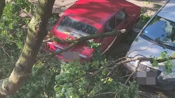 ЗЕМУН ВИДА РАНЕ ОД НЕВРЕМЕНА: Радници комуналних предузећа, као и општинари, имали много посла ЗЕМУН ВИДА РАНЕ ОД НЕВРЕМЕНА: Радници комуналних предузећа, као и општинари, имали много посла