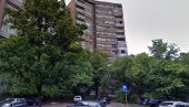 КО ТО БАЦА ПИЛЕЋЕ ОСТАТКЕ ПО НАСЕЉУ? Мистерија на Вождовцу - свако јутро грађани затичу нереалан призор (ФОТО) КО ТО БАЦА ПИЛЕЋЕ ОСТАТКЕ ПО НАСЕЉУ? Мистерија на Вождовцу - свако јутро грађани затичу нереалан призор (ФОТО)