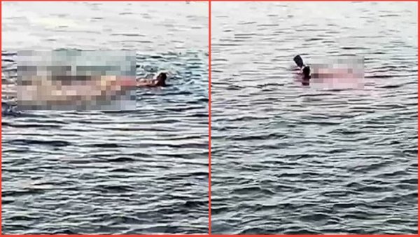 (УЗНЕМИРУЈУЋИ ВИДЕО) Ајкула у Хургади жени откинула руку и ногу - несрећна жена преминула (УЗНЕМИРУЈУЋИ ВИДЕО) Ајкула у Хургади жени откинула руку и ногу - несрећна жена преминула
