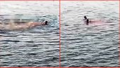 (UZNEMIRUJUĆI VIDEO) Ajkula u Hurgadi ženi otkinula ruku i nogu - nesrećna žena preminula (UZNEMIRUJUĆI VIDEO) Ajkula u Hurgadi ženi otkinula ruku i nogu - nesrećna žena preminula