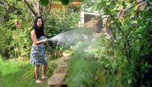 НЕ ЗАЛИВАЈТЕ ВОДОМ СА МРЕЖЕ: Водовод апелује на грађане да не расипају воду иако су врућине карактеристика овог доба године