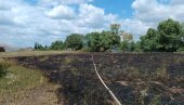 ЛОКАЛИЗОВАН ПОЖАР У НОВОМ САДУ: Горела површина од пет ари, нема повређених (ФОТО/ВИДЕО) ЛОКАЛИЗОВАН ПОЖАР У НОВОМ САДУ: Горела површина од пет ари, нема повређених (ФОТО/ВИДЕО)