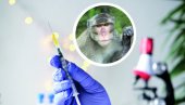 OPASAN VIRUS SE ŠIRI REKORDNOM BRZINOM: Proglašena vanredna situacija na celom kontinentu OPASAN VIRUS SE ŠIRI REKORDNOM BRZINOM: Proglašena vanredna situacija na celom kontinentu