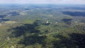 BRAZIL: U jednoj od pritoka Amazona pronađeno 120 uginulih rečnih delfina BRAZIL: U jednoj od pritoka Amazona pronađeno 120 uginulih rečnih delfina