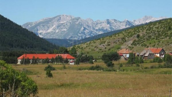 АФРИЧКА КУГА МЕЂУ ДИВЉИМ СВИЊАМА: На подручју ловишта у Пљевљима пронађене две угинуле животиње АФРИЧКА КУГА МЕЂУ ДИВЉИМ СВИЊАМА: На подручју ловишта у Пљевљима пронађене две угинуле животиње