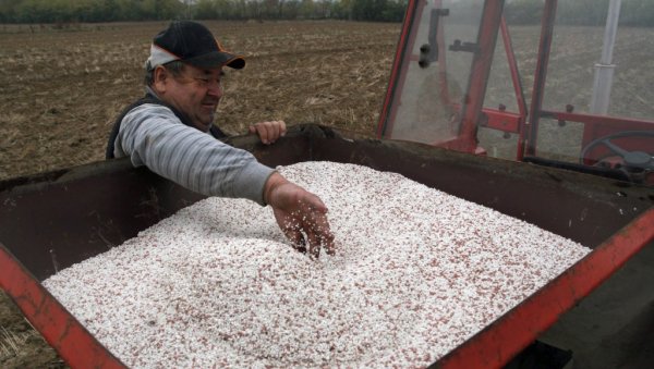 ТОНА СА 45.000 СКОЧИЛА НА 145.000 ДИНАРА: Хоће ли пољопривредници, због поскупљења, на јесен уопште користити вештачко ђубриво? ТОНА СА 45.000 СКОЧИЛА НА 145.000 ДИНАРА: Хоће ли пољопривредници, због поскупљења, на јесен уопште користити вештачко ђубриво?