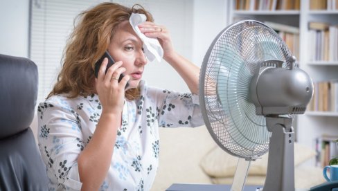 NA MAJSTORE ZA KLIMU ČEKA SE DVA MESECA: Skočila potražnja za uređajima koji rashlađuju, prodaja ventilatora pet puta veća NA MAJSTORE ZA KLIMU ČEKA SE DVA MESECA: Skočila potražnja za uređajima koji rashlađuju, prodaja ventilatora pet puta veća