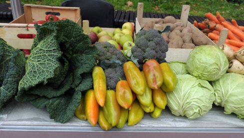 ЛИДЕР РАВНИЦЕ: Овај град у Војводини спреман за узгој органске хране, ово су детаљи