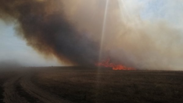 ГОРИ РЕЗЕРВАТ ПРИРОДЕ КОД КИКИНДЕ: Угрожено станиште велике дропље ГОРИ РЕЗЕРВАТ ПРИРОДЕ КОД КИКИНДЕ: Угрожено станиште велике дропље
