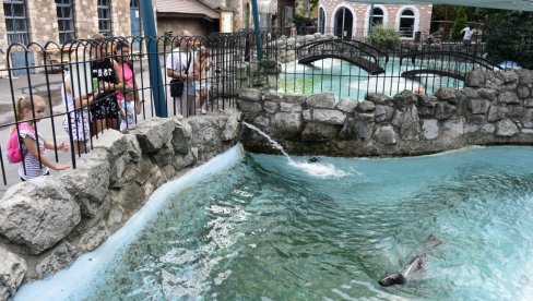 BESPLATNO U ZOO VRT: Opština Savski venac poklanja karte, broj ograničen BESPLATNO U ZOO VRT: Opština Savski venac poklanja karte, broj ograničen