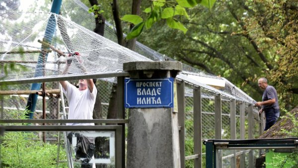 ЖИВОТИЊСКО ЦАРСТВО НА АДИ САФАРИ: Градоначелник за премештај зоолошког врта са Калемегдана да би симбол града ушао коначно на листу Унеска ЖИВОТИЊСКО ЦАРСТВО НА АДИ САФАРИ: Градоначелник за премештај зоолошког врта са Калемегдана да би симбол града ушао коначно на листу Унеска