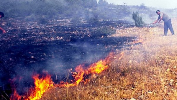 И ЛЕЦИ ГАСЕ ПОЖАРЕ НА ЊИВАМА: Превентивна акција чланова недавно формираног добровољног ватрогасног друштва у Пироту И ЛЕЦИ ГАСЕ ПОЖАРЕ НА ЊИВАМА: Превентивна акција чланова недавно формираног добровољног ватрогасног друштва у Пироту