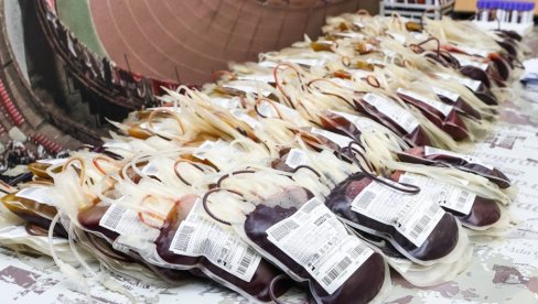 CRVENO-BELA KRV: Navijači Zvezde dobili tradicionalni humani poziv, a tu su i karte za Seltik...