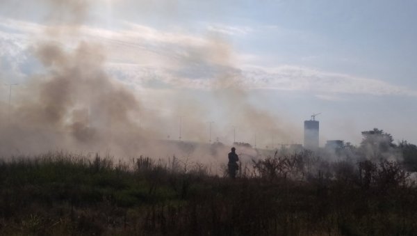 ГОРИ РАСТИЊЕ КОД ГАЗЕЛЕ: Ватрогасци стигли на интервенцију (ФОТО/ВИДЕО) ГОРИ РАСТИЊЕ КОД ГАЗЕЛЕ: Ватрогасци стигли на интервенцију (ФОТО/ВИДЕО)