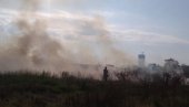 GORI RASTINJE KOD GAZELE: Vatrogasci stigli na intervenciju (FOTO/VIDEO) GORI RASTINJE KOD GAZELE: Vatrogasci stigli na intervenciju (FOTO/VIDEO)