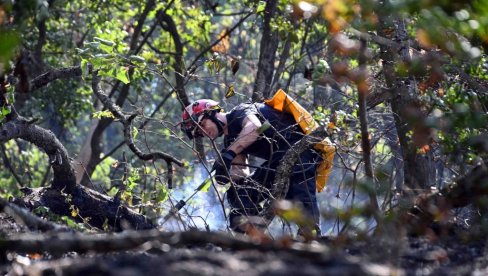 POŽAR IZAZVAO LJUDSKI FAKTOR: U Vršcu bitka sa stihijom trajala 15 sati, učestvovalo 50 vatrogasaca i 16 vozila POŽAR IZAZVAO LJUDSKI FAKTOR: U Vršcu bitka sa stihijom trajala 15 sati, učestvovalo 50 vatrogasaca i 16 vozila