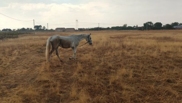 ОБРИСИ РАВНИЦЕ У СЛИЦИ: Недостаје једино ђерам (ФОТО) ОБРИСИ РАВНИЦЕ У СЛИЦИ: Недостаје једино ђерам (ФОТО)