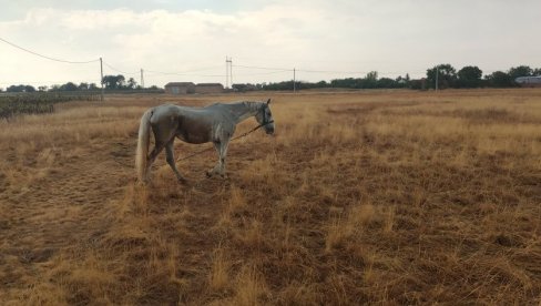 OBRISI RAVNICE U SLICI: Nedostaje jedino đeram (FOTO) OBRISI RAVNICE U SLICI: Nedostaje jedino đeram (FOTO)
