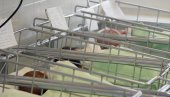 POKLONI ROĐENIMA OD 8. DO 15. MAJA: Crveni krst u Loznici podelio pakete za bebe POKLONI ROĐENIMA OD 8. DO 15. MAJA: Crveni krst u Loznici podelio pakete za bebe