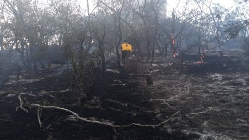 ŠUMSKI POŽARI U KAZAHSTANU: Broj poginulih porastao na 14