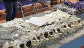 ПОЗИВ ПУНОЛЕТНИМ ГРАЂЕНИМА: Сутра акција давања крви у Петровцу на Млави ПОЗИВ ПУНОЛЕТНИМ ГРАЂЕНИМА: Сутра акција давања крви у Петровцу на Млави