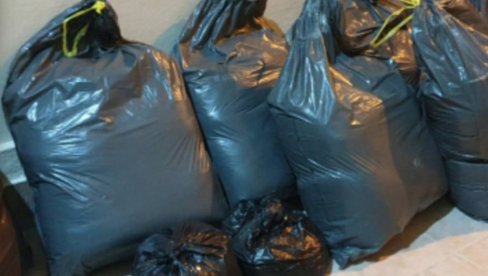 U SUBOTICI UHAPŠEN ALBANAC SA DROGOM: Zaplenjeno 32 kilgorama marihuane U SUBOTICI UHAPŠEN ALBANAC SA DROGOM: Zaplenjeno 32 kilgorama marihuane