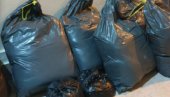 U SUBOTICI UHAPŠEN ALBANAC SA DROGOM: Zaplenjeno 32 kilgorama marihuane U SUBOTICI UHAPŠEN ALBANAC SA DROGOM: Zaplenjeno 32 kilgorama marihuane