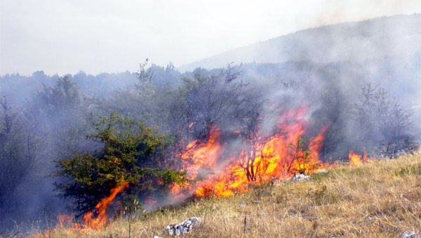 НЕ ИГРАЈТЕ СЕ ВАТРОМ! Полиција апелује и упозорава грађане - стижу нам високе температуре, казне су папрене НЕ ИГРАЈТЕ СЕ ВАТРОМ! Полиција апелује и упозорава грађане - стижу нам високе температуре, казне су папрене