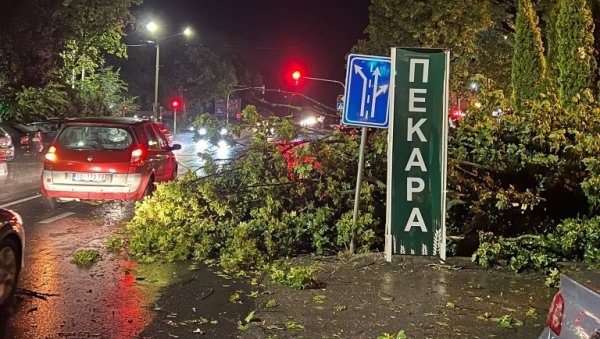 НЕВРЕМЕ НАПРАВИЛО БРДО ПРОБЛЕМА У ВОЈВОДИНИ: Сивац био без струје и воде, у Црвенки ветар чупао дрвеће НЕВРЕМЕ НАПРАВИЛО БРДО ПРОБЛЕМА У ВОЈВОДИНИ: Сивац био без струје и воде, у Црвенки ветар чупао дрвеће