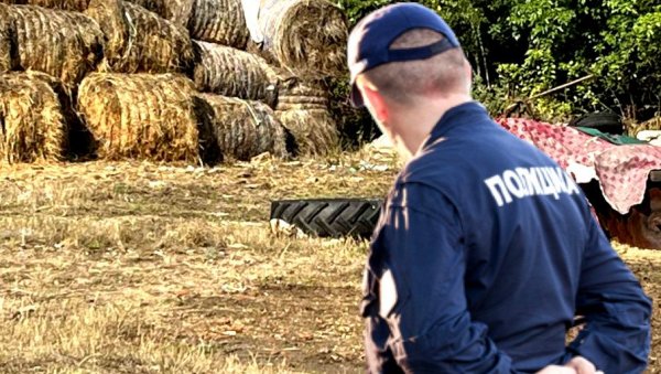 НОВИ ДЕТАЉИ ИСТРАГЕ О ОБЕЗГЛАВЉЕНОМ ТЕЛУ У ЗРЕЊАНИНУ: Полиција чешља списак несталих особа, чекају се резултати обдукције НОВИ ДЕТАЉИ ИСТРАГЕ О ОБЕЗГЛАВЉЕНОМ ТЕЛУ У ЗРЕЊАНИНУ: Полиција чешља списак несталих особа, чекају се резултати обдукције