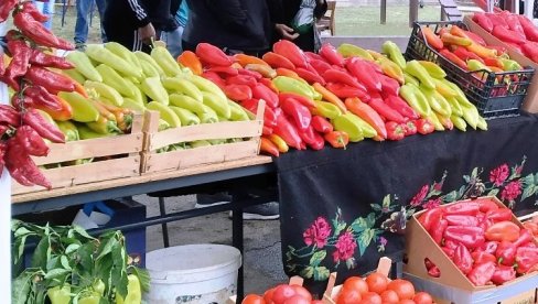 SVEŽE PAPRIKE SKUPE KAO SUVO ZLATO: Neće vam biti dobro kad vidite cene SVEŽE PAPRIKE SKUPE KAO SUVO ZLATO: Neće vam biti dobro kad vidite cene