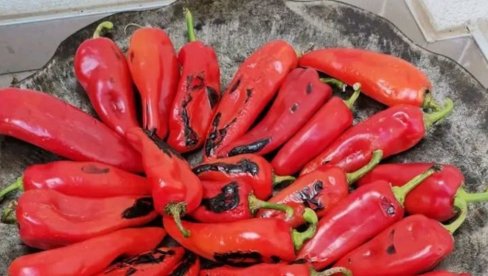SPREMATE AJVAR, ILI PINDŽUR? Na Veletržnici najtraženije povrće za zimnicu, evo koliko košta SPREMATE AJVAR, ILI PINDŽUR? Na Veletržnici najtraženije povrće za zimnicu, evo koliko košta