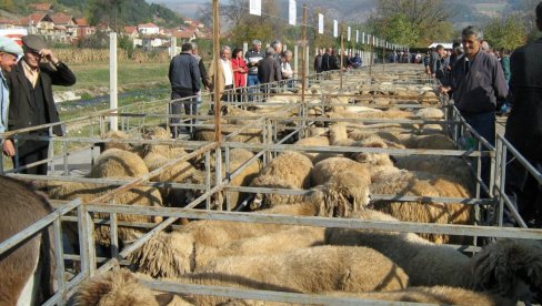 DA SE SAČUVAJU DOMAĆE RASE: Stručnjaci održali pirotskim stočarima predavanje o očuvanju autohtonih rasa domaćih životinja (FOTO)