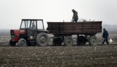 ЂУБРИВО САМО НА КАШИЧИЦУ: Без довољних количина и род ће бити мањи ЂУБРИВО САМО НА КАШИЧИЦУ: Без довољних количина и род ће бити мањи
