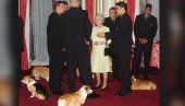 BILI SU NJEN ZAŠTITNI ZNAK: Gde su sada korgiji kraljice Elizabete? BILI SU NJEN ZAŠTITNI ZNAK: Gde su sada korgiji kraljice Elizabete?