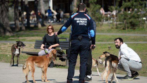 БЕОГРАДУ ТРАЖИ ЈОШ 217 БЕЛИХ Градска Управа расписала јавни позив за стручно оспособљавање кандидата за послове комуналног милиционара