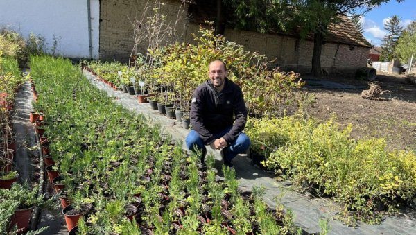 ЗА ГОДИНУ ДАНА ПРОИЗВЕДЕ И ДО 150.000 САДНИЦА: Радивој из Иђоша недавно проглашен за најбољег младог пољопривредника у нашој земљи ЗА ГОДИНУ ДАНА ПРОИЗВЕДЕ И ДО 150.000 САДНИЦА: Радивој из Иђоша недавно проглашен за најбољег младог пољопривредника у нашој земљи